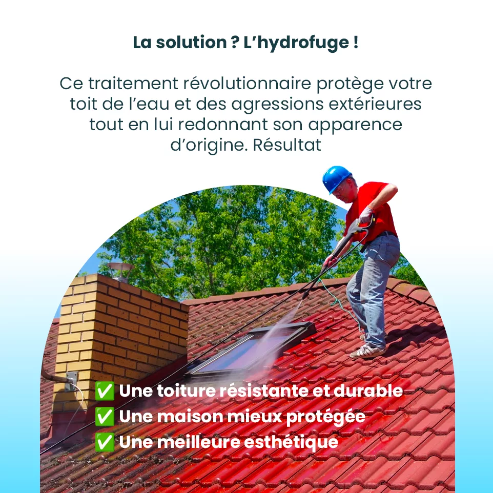 Démoussage Toiture Viré Viré