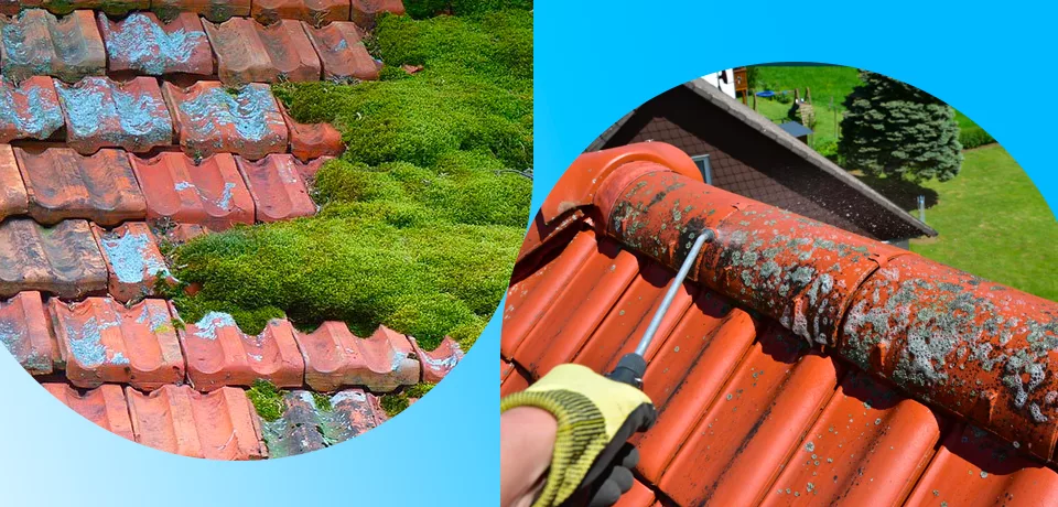 Démoussage Toiture Viré Viré