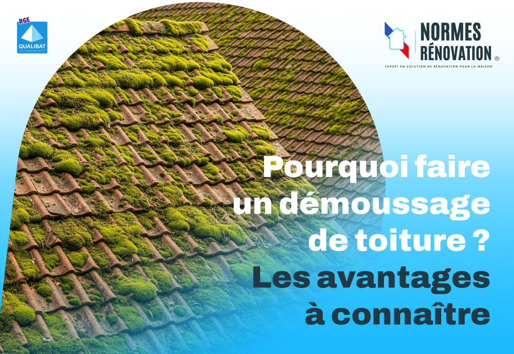 Démoussage Toiture Viré Viré