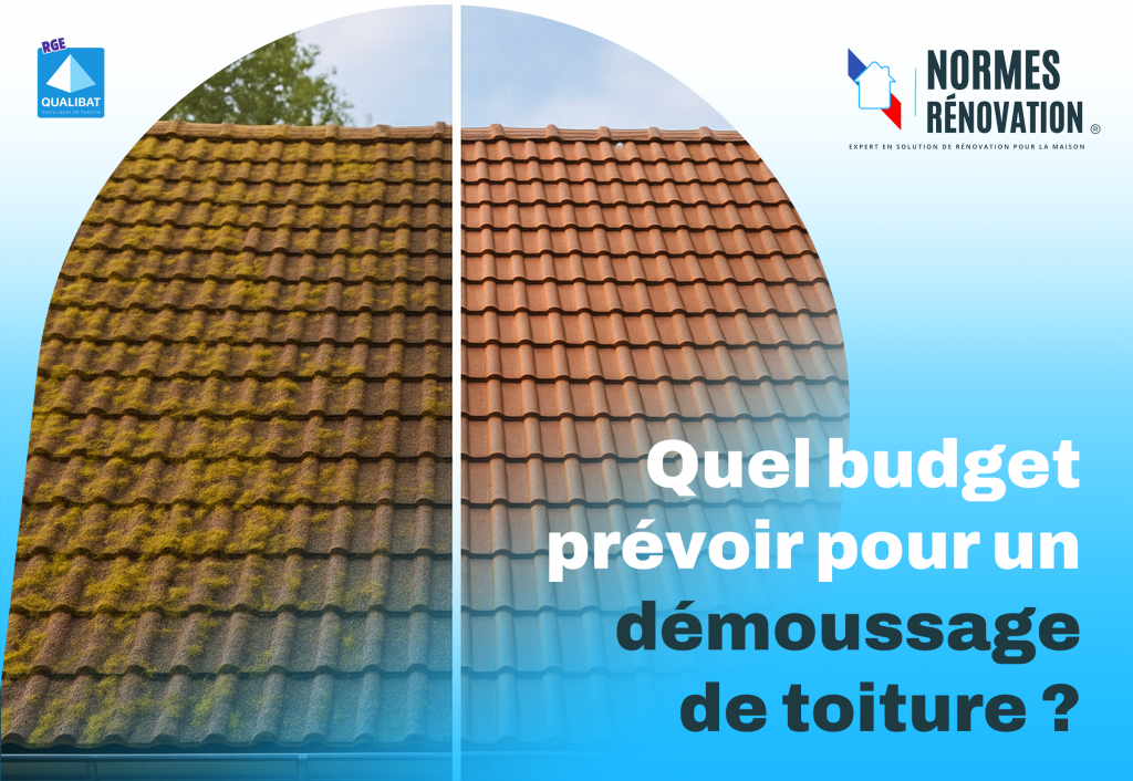 Démoussage Toiture Viré Viré